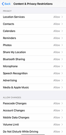 iOS other restrictions