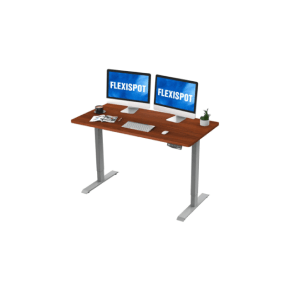 Flexispot EN1 setup