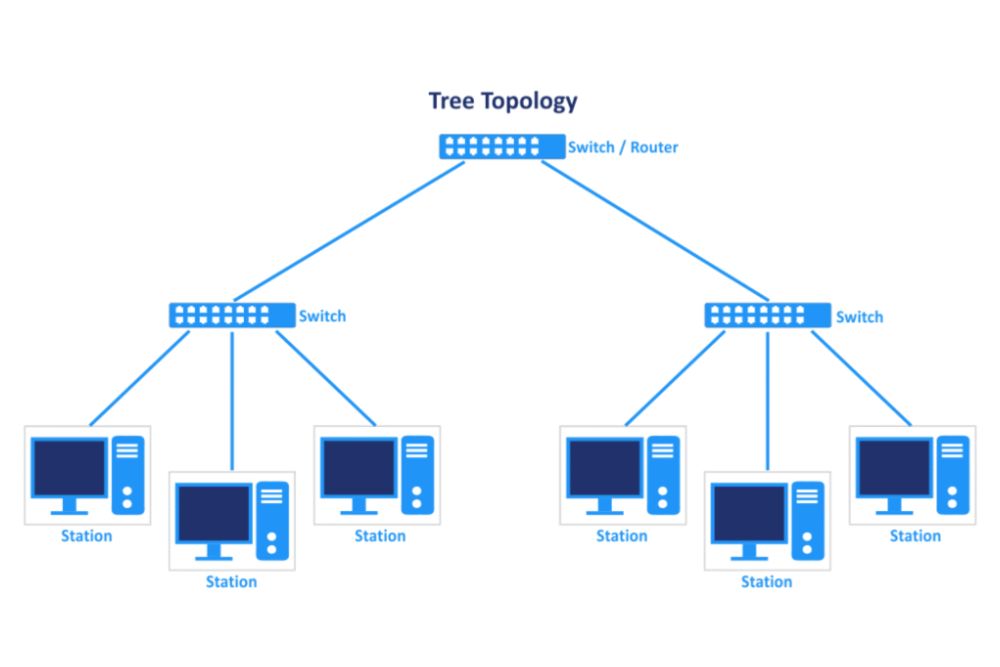 What is a Node in Networking? | All You Need To Know