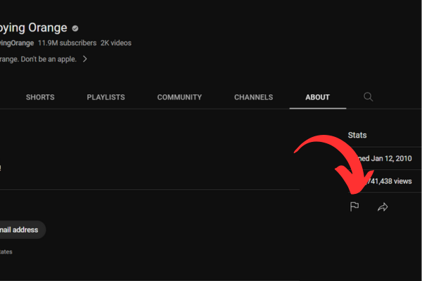 The flag icon is below the number of views of the channel